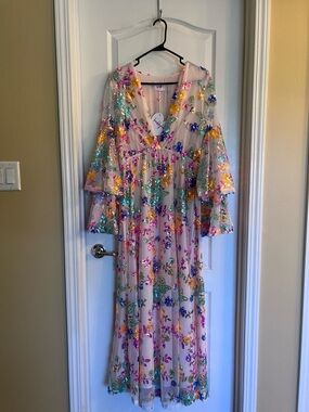 Buddy Love Pink Sheer Maxi Dress with Multicolor Sequin Floral Embroidery